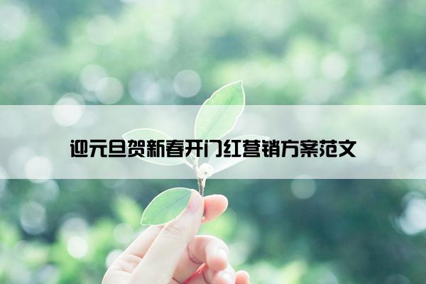 迎元旦贺新春开门红营销方案范文
