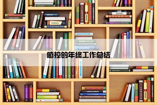 感控的年终工作总结