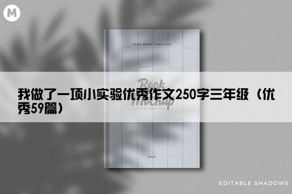 我做了一项小实验优秀作文250字三年级（优秀59篇）