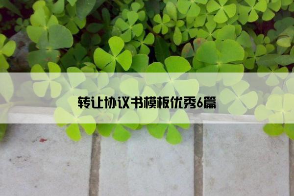 转让协议书模板优秀6篇