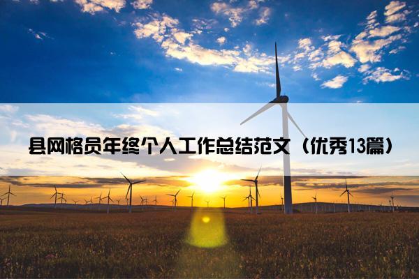 县网格员年终个人工作总结范文（优秀13篇）