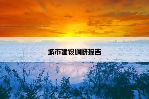 城市建设调研报告