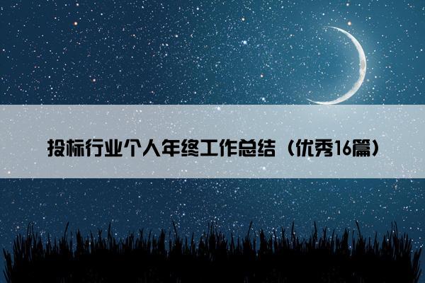 投标行业个人年终工作总结（优秀16篇）
