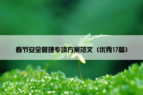 春节安全管理专项方案范文（优秀17篇）