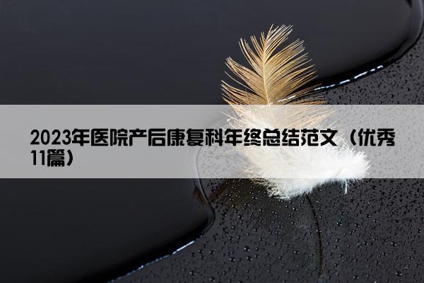 2023年医院产后康复科年终总结范文（优秀11篇）