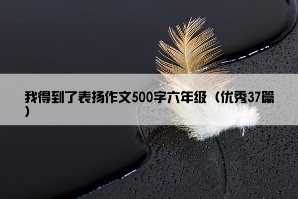 我得到了表扬作文500字六年级（优秀37篇）
