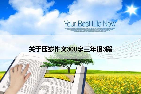 关于压岁作文300字三年级3篇