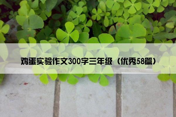 鸡蛋实验作文300字三年级（优秀58篇）