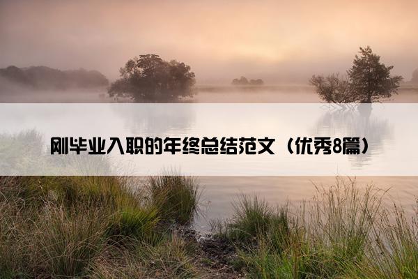 刚毕业入职的年终总结范文（优秀8篇）