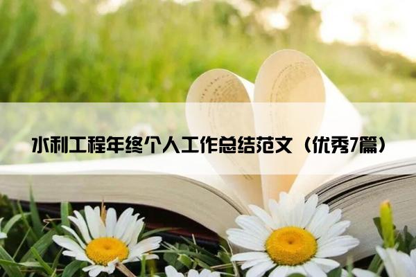 水利工程年终个人工作总结范文（优秀7篇）