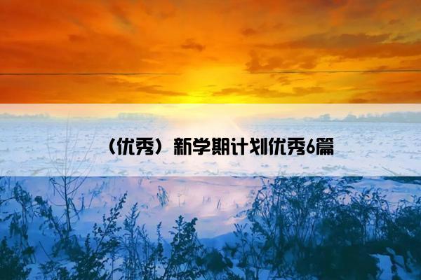 （优秀）新学期计划优秀6篇