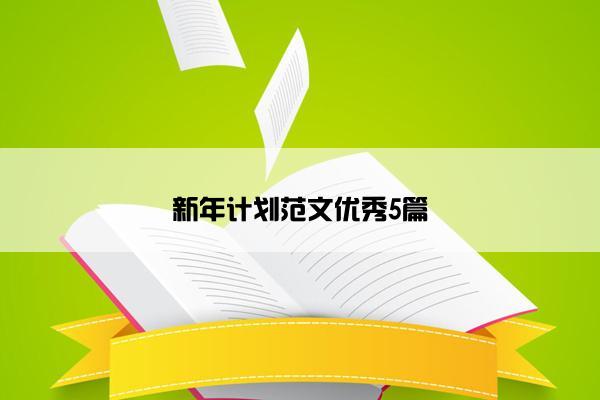 新年计划范文优秀5篇