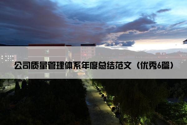 公司质量管理体系年度总结范文（优秀6篇）
