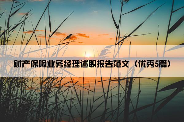 财产保险业务经理述职报告范文（优秀5篇）