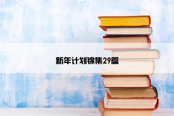 新年计划锦集29篇 新年计划锦集29篇