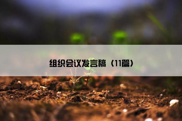 组织会议发言稿（11篇）