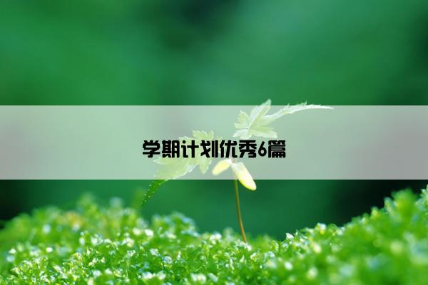 学期计划优秀6篇