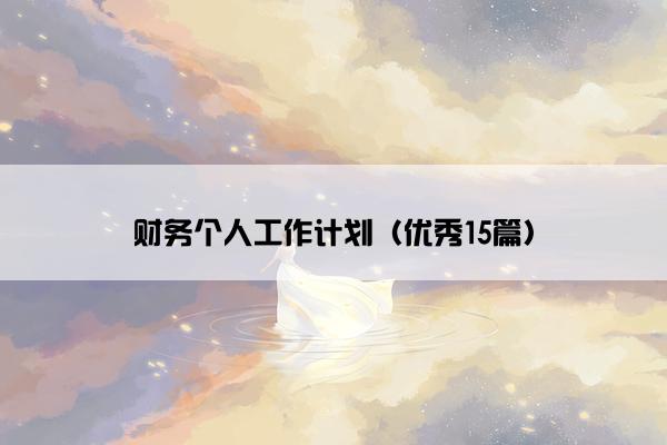 财务个人工作计划（优秀15篇）