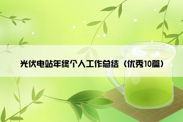 光伏电站年终个人工作总结（优秀10篇）