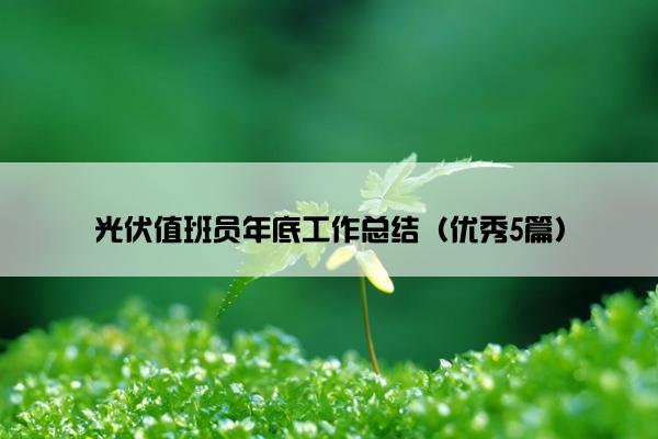 光伏值班员年底工作总结（优秀5篇）
