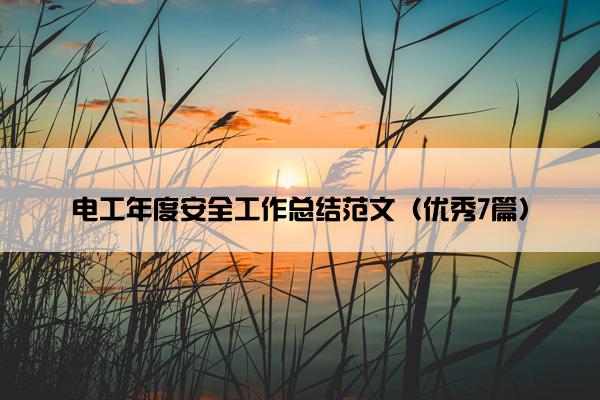 电工年度安全工作总结范文（优秀7篇）
