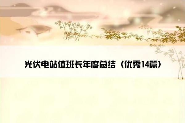 光伏电站值班长年度总结（优秀14篇）