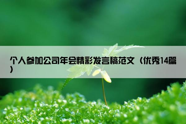 个人参加公司年会精彩发言稿范文（优秀14篇）