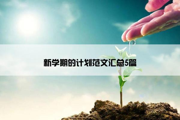 新学期的计划范文汇总5篇