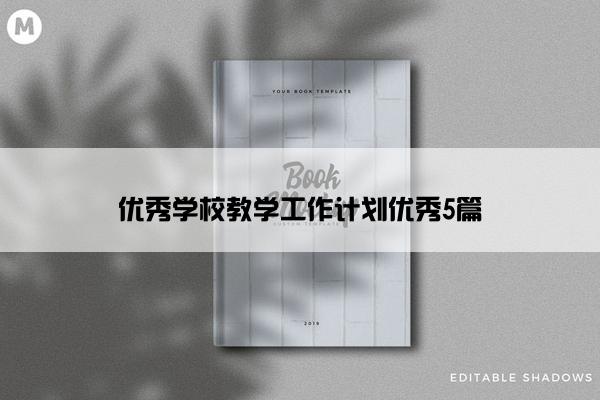 优秀学校教学工作计划优秀5篇