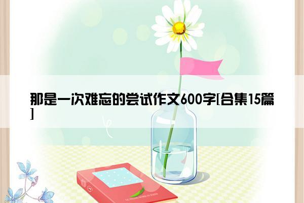 那是一次难忘的尝试作文600字[合集15篇]