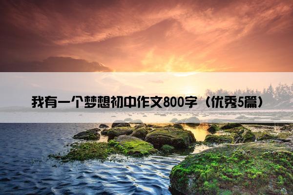 我有一个梦想初中作文800字(优秀5篇) 我有一个梦想初中作文800字(优秀5篇)