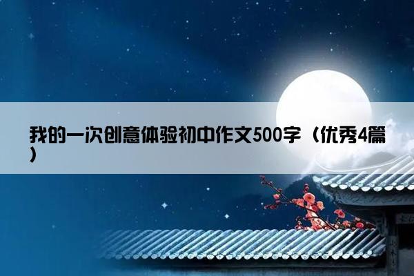 我的一次创意体验初中作文500字（优秀4篇）