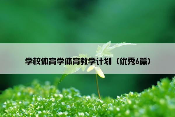 学校体育学体育教学计划（优秀6篇）