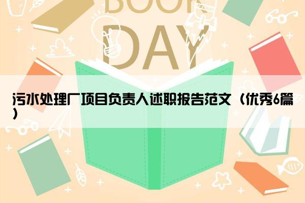 污水处理厂项目负责人述职报告范文（优秀6篇）