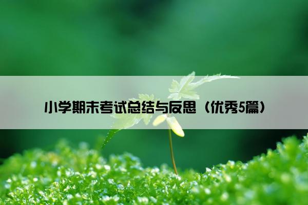 小学期末考试总结与反思（优秀5篇）