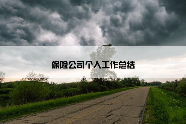 保险公司个人工作总结