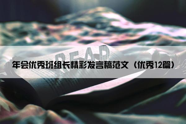 年会优秀班组长精彩发言稿范文（优秀12篇）