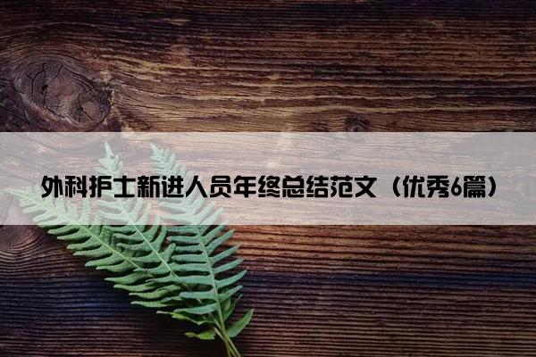 外科护士新进人员年终总结范文（优秀6篇）