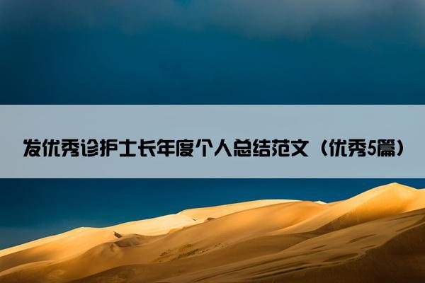 发优秀诊护士长年度个人总结范文（优秀5篇）