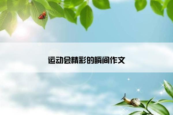运动会精彩的瞬间作文