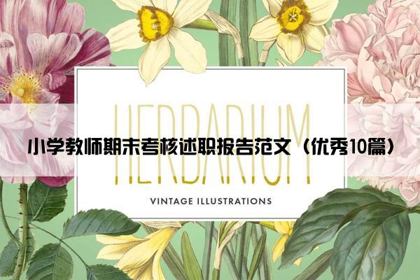 小学教师期末考核述职报告范文（优秀10篇）