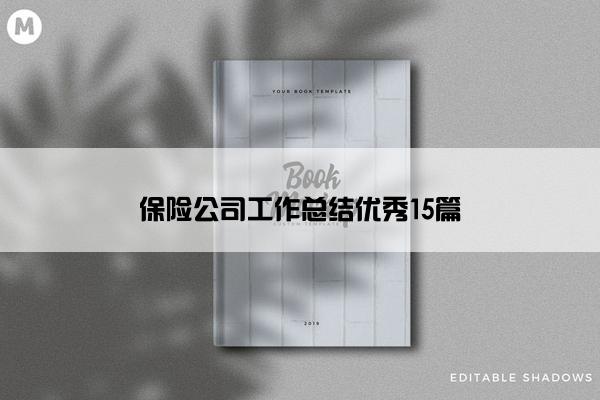 保险公司工作总结优秀15篇 保险公司工作总结优秀15篇