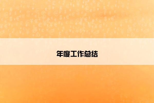 年度工作总结