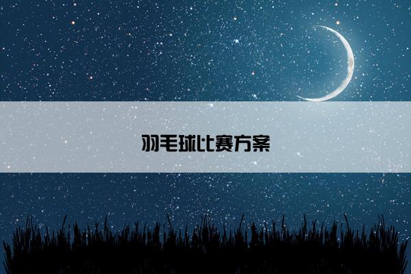 羽毛球比赛方案 羽毛球比赛方案