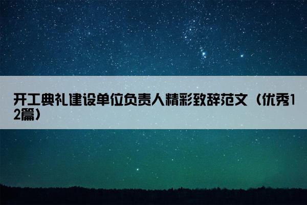 开工典礼建设单位负责人精彩致辞范文（优秀12篇）