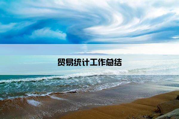 贸易统计工作总结