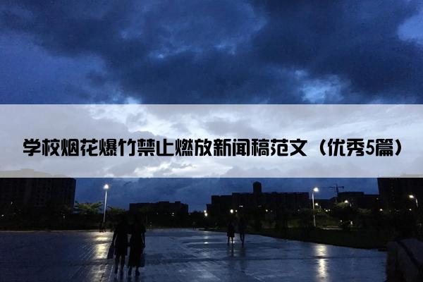 学校烟花爆竹禁止燃放新闻稿范文（优秀5篇）