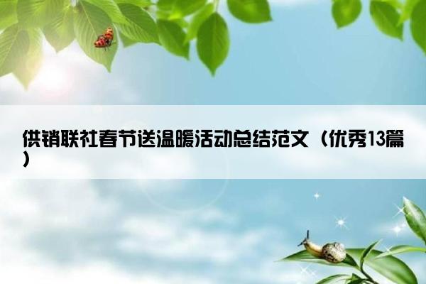 供销联社春节送温暖活动总结范文（优秀13篇）