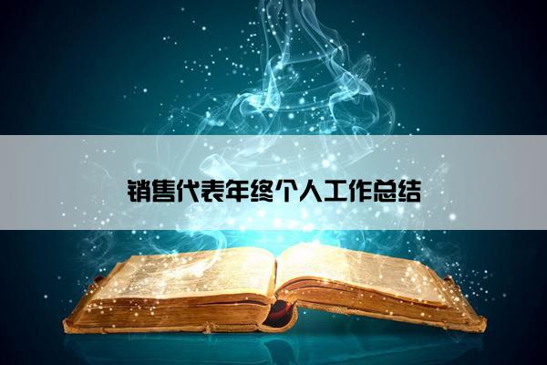 销售代表年终个人工作总结