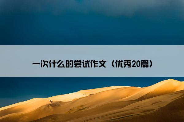 一次什么的尝试作文（优秀20篇）